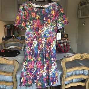 Lularoe Amelia
